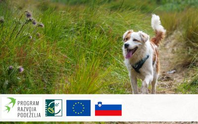 Živa dediščina