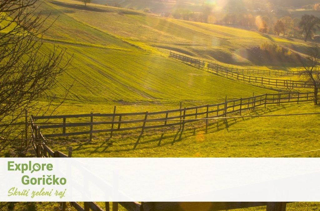 Explore Goričko