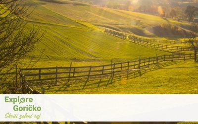 Explore Goričko
